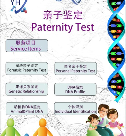 亲子鉴定