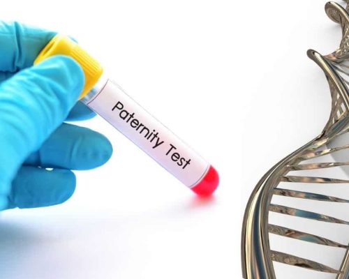 paternity test