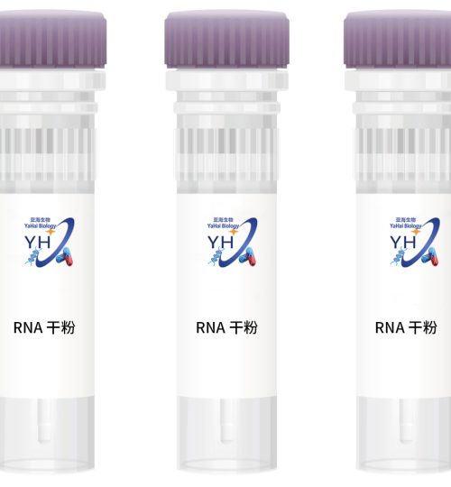 RNA货品